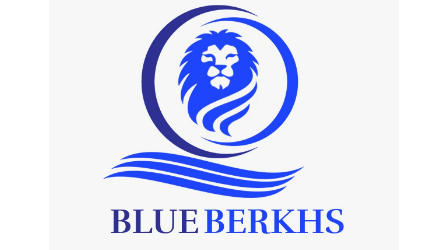 BLUE BERKHS SHIPPING L.L.C
