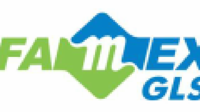 FAMEX GLS CO LTD