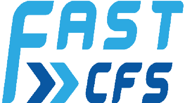 Fast CFS Cargo Services Ltd – SMC Limited
