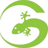 Gecko Logistics Group