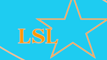 LINK STAR LOGISTICS CO., LTD.