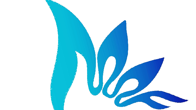 MASS ALLIED FREIGHTERS LLC