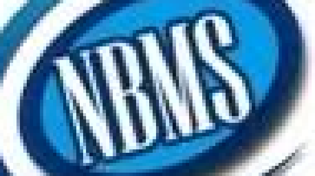 NBMS Global Trade Pvt. Ltd.