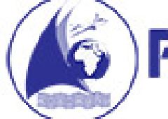 PHOENIX WORLD CLEARANCE W.L.L.