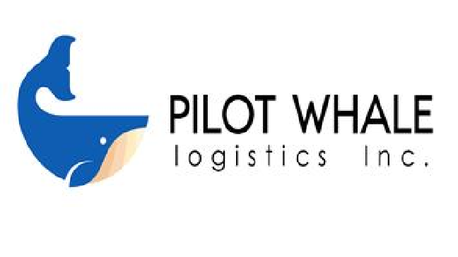 Qingdao pilot whale international logistics co., LTD