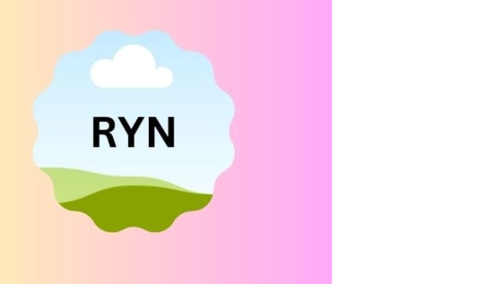 RYN SHIPPING AND LOGISTICS PVT LTD