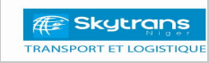 SKYTRANS NIGER SARL