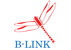 Shanghai B-LINK Logistics Co., Ltd.