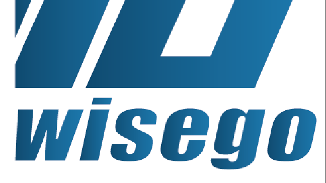 Wise Go International logistics Co.,LTD