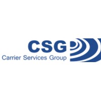 Carrier Services Group Inc