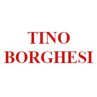TINO BORGHESI TRASPORTI S.R.L.