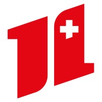 TechFirm Information Systems